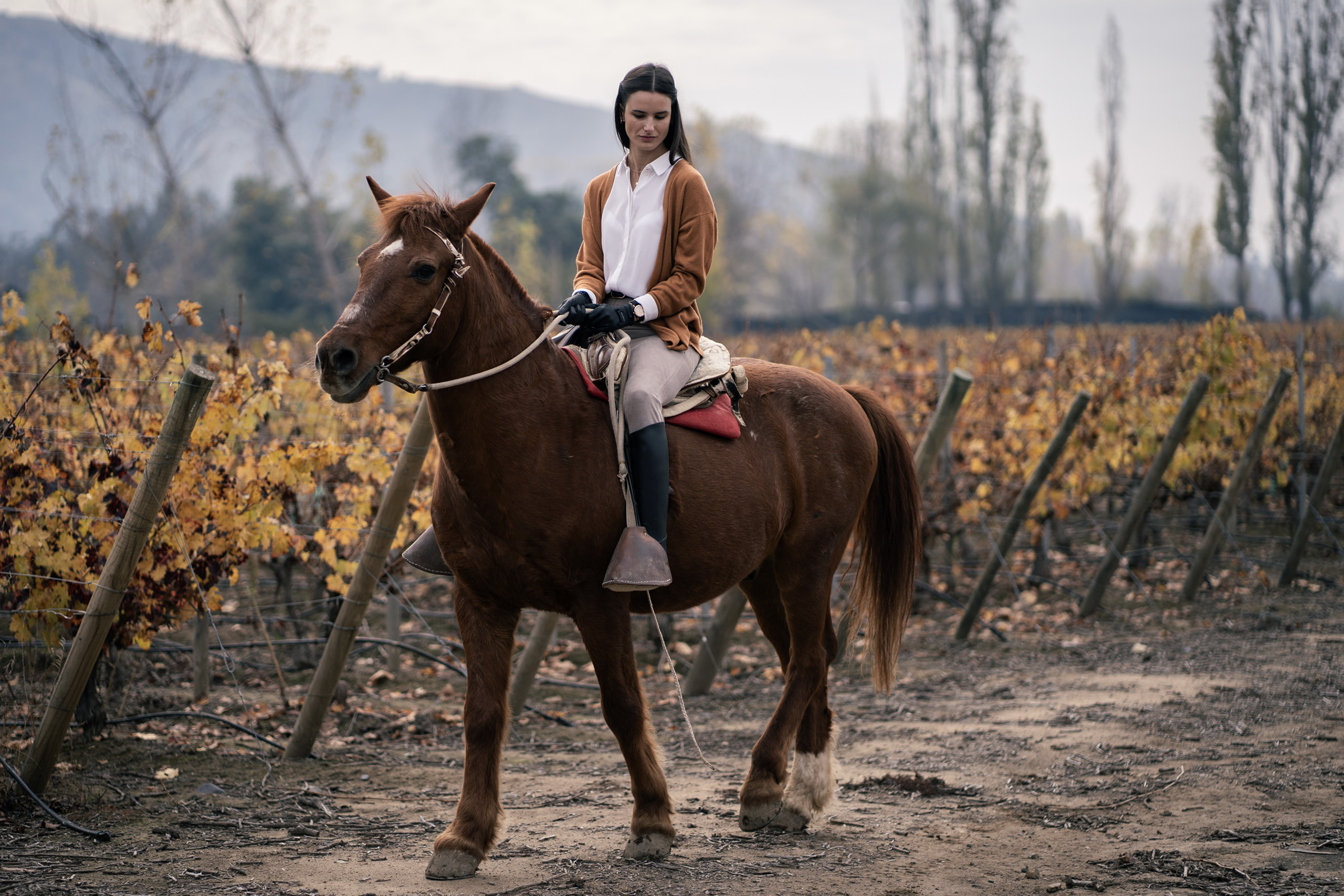 Horseback Riding