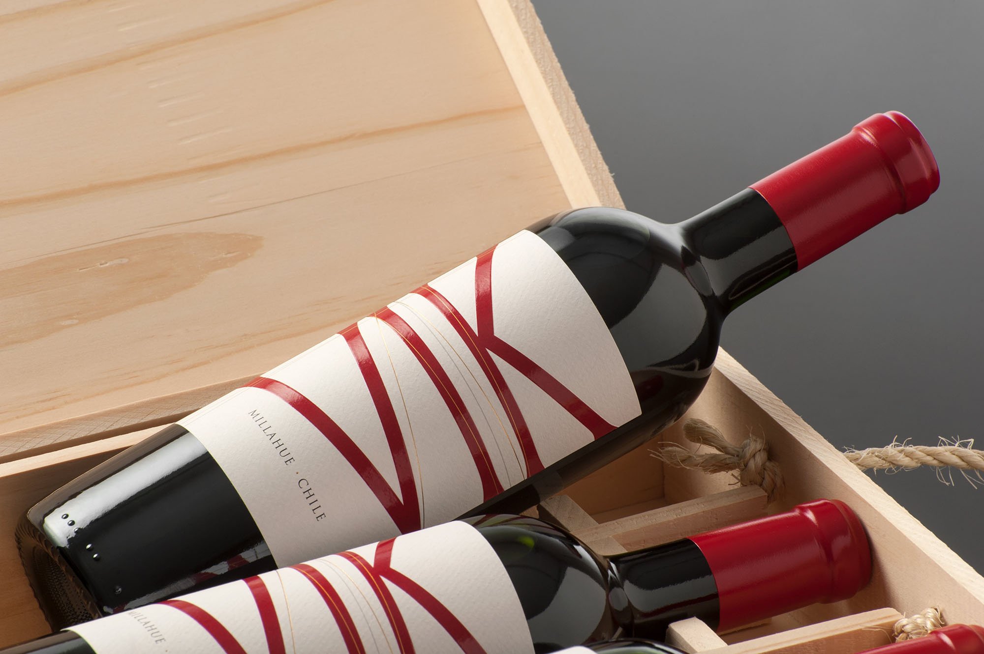 VIK Vertical Limited Edition Short