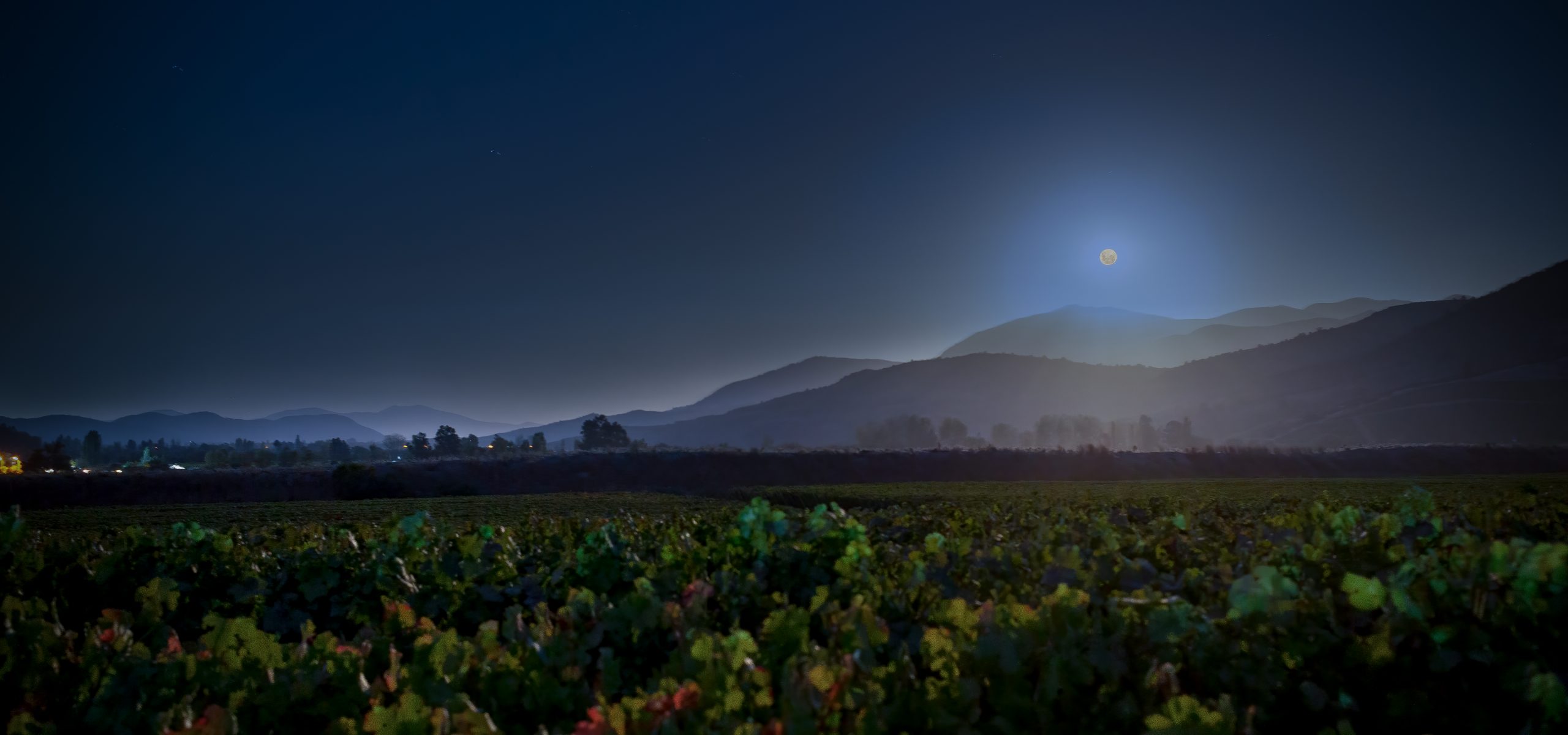 COSECHA NOCTURNA 2021 Y UNA LUNA LLENA PARA CELEBRAR EL COMIENZO DE LA VENDIMIA