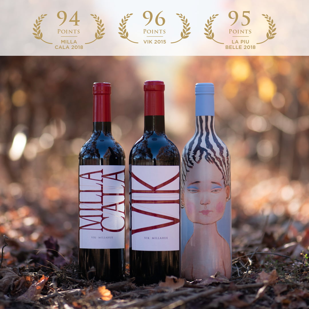 VIK 2014 ALCANZA 98 POINTS EN EL REVIEW DE LA REVISTA THE TASTING PANEL