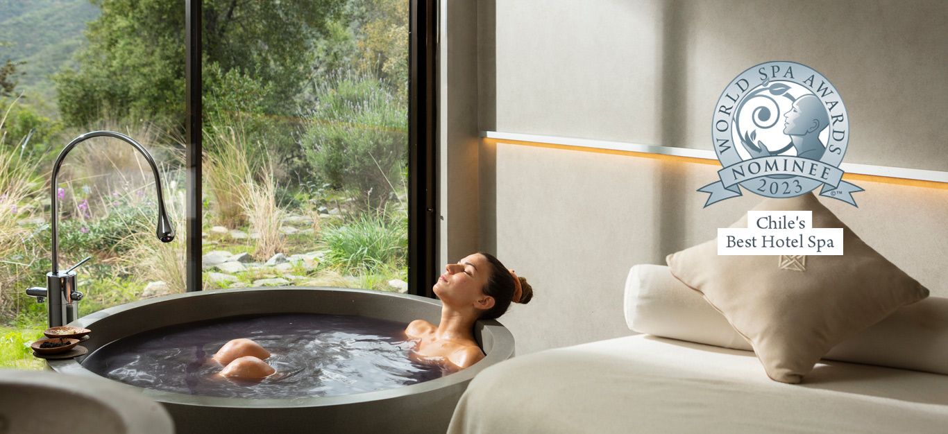 VIK CHILE NOMINATED AT THE 2023 WORLD SPA AWARDS