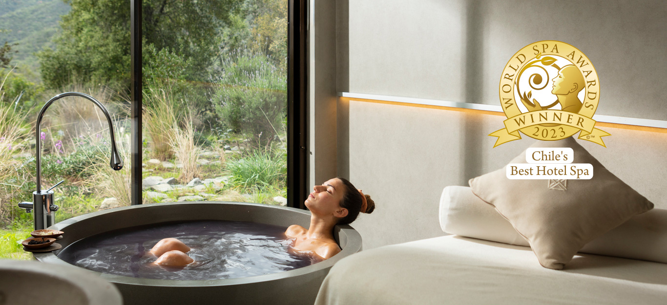 VIK CHILE, WINNER AT WORLD SPA AWARDS 2023